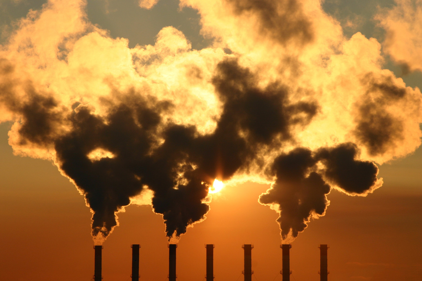 Carbon Capture and Storage