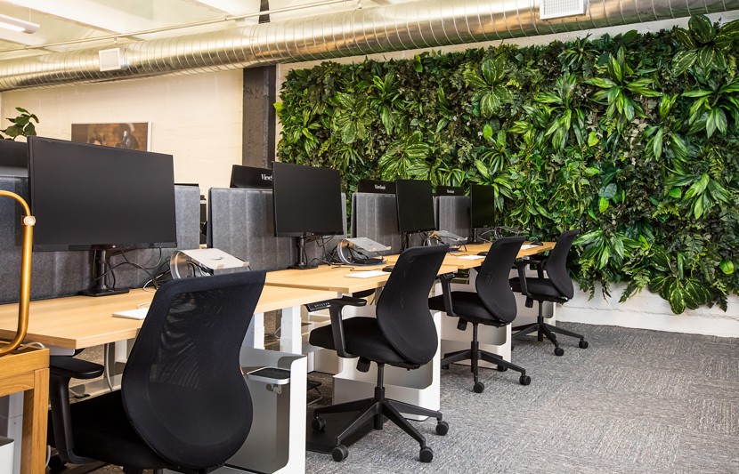 Office interior with green wall