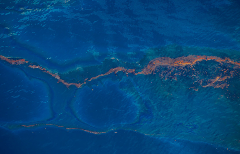 GettyImages-107081104.jpg