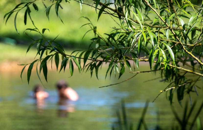 Photo of a person swimming in a lake