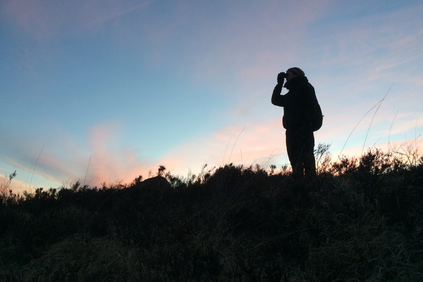 Simon Zisman Dawn black grouse survey
