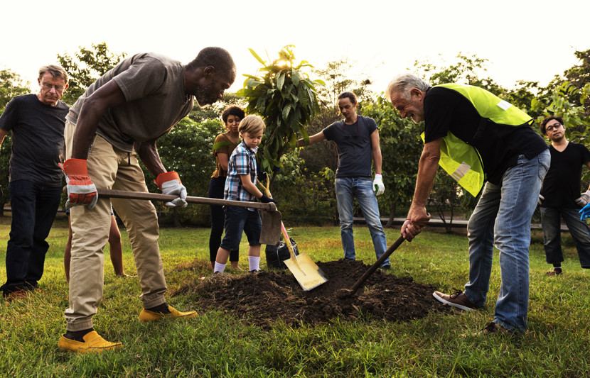 Community-engaged-in-development.jpg