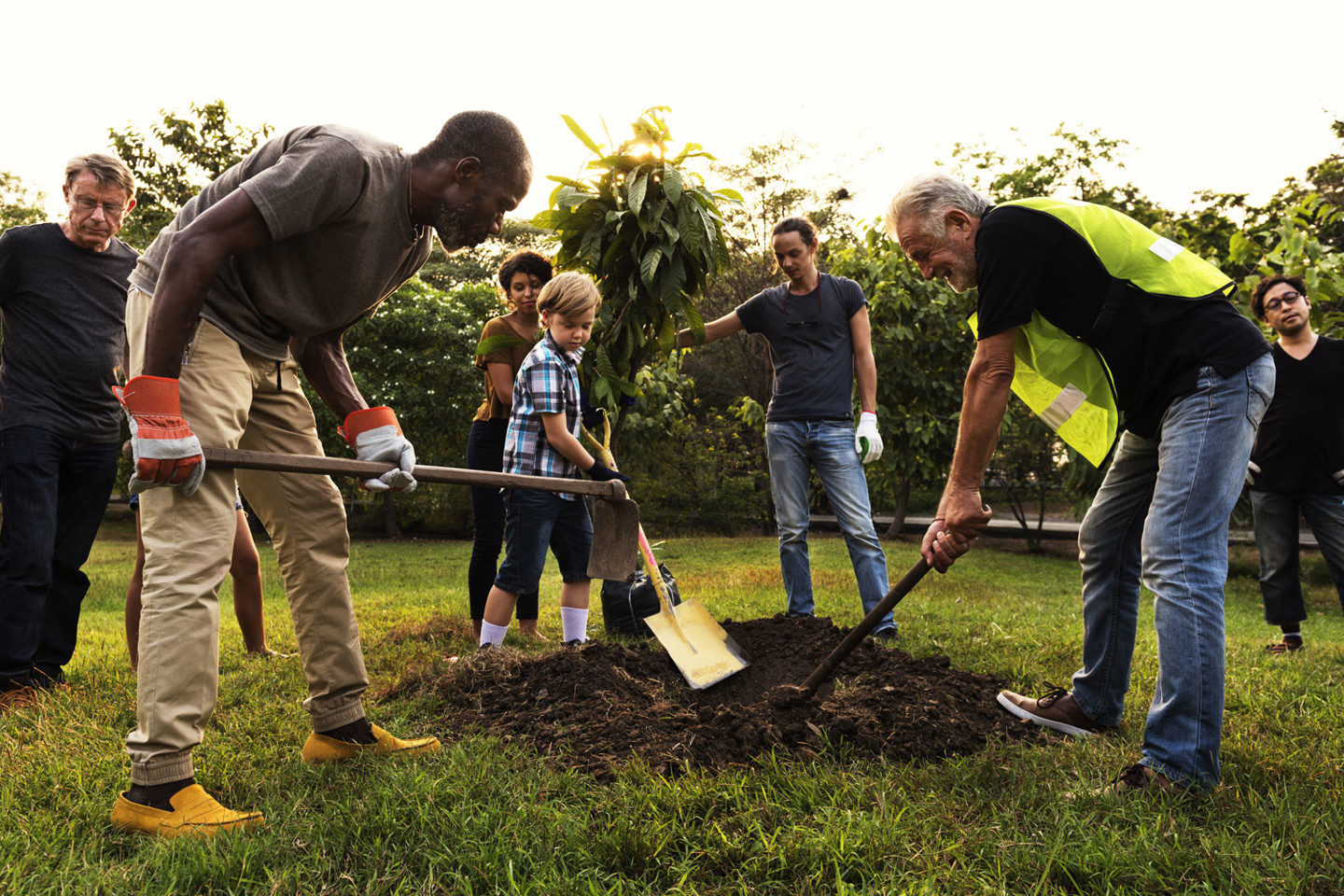 Community-engaged-in-development.jpg