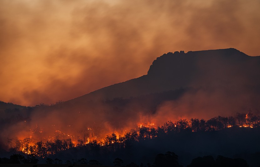 Forest fire burning at night