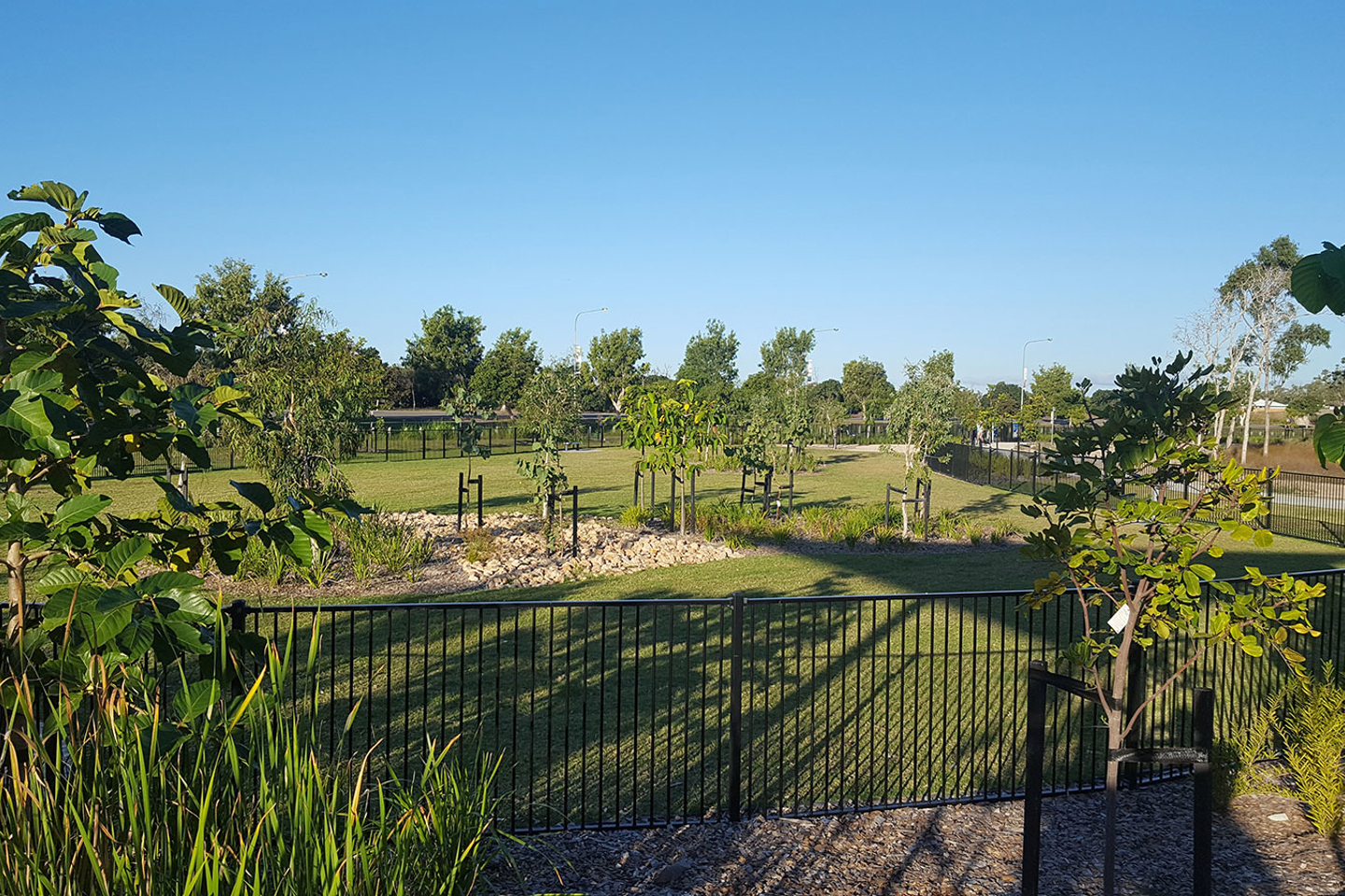 Peggy Banfield Park gardens and grassed recreation area on sunny day