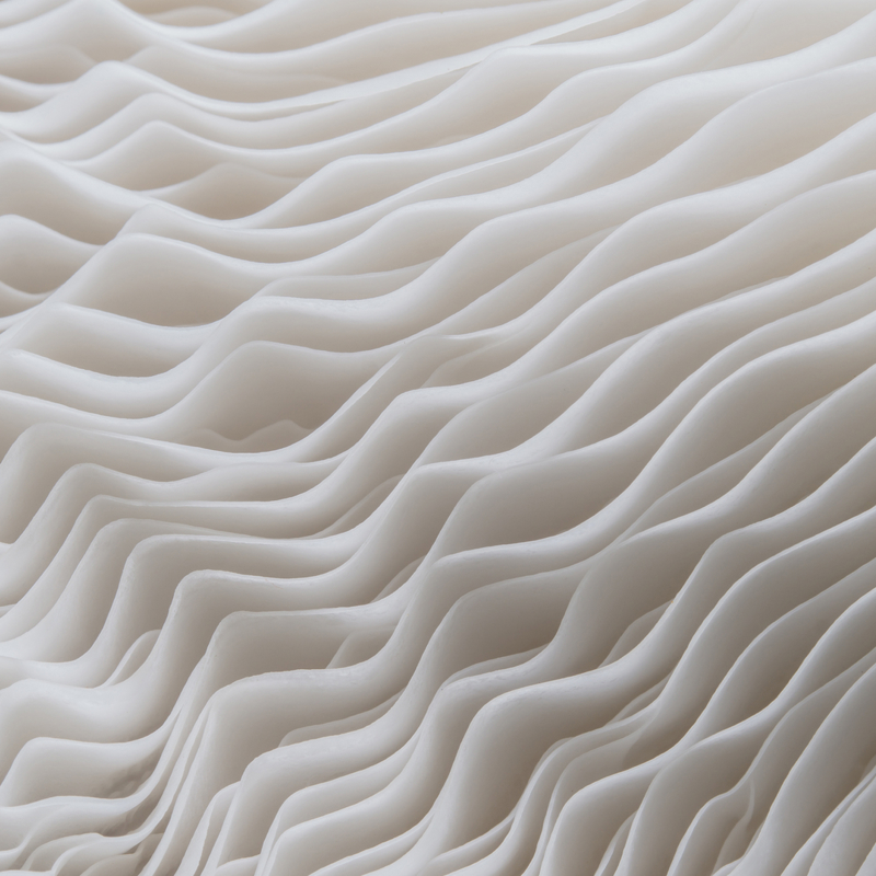 Close up abstract image of white coral