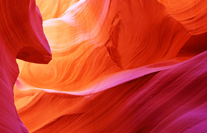 Abstract image of nature in red