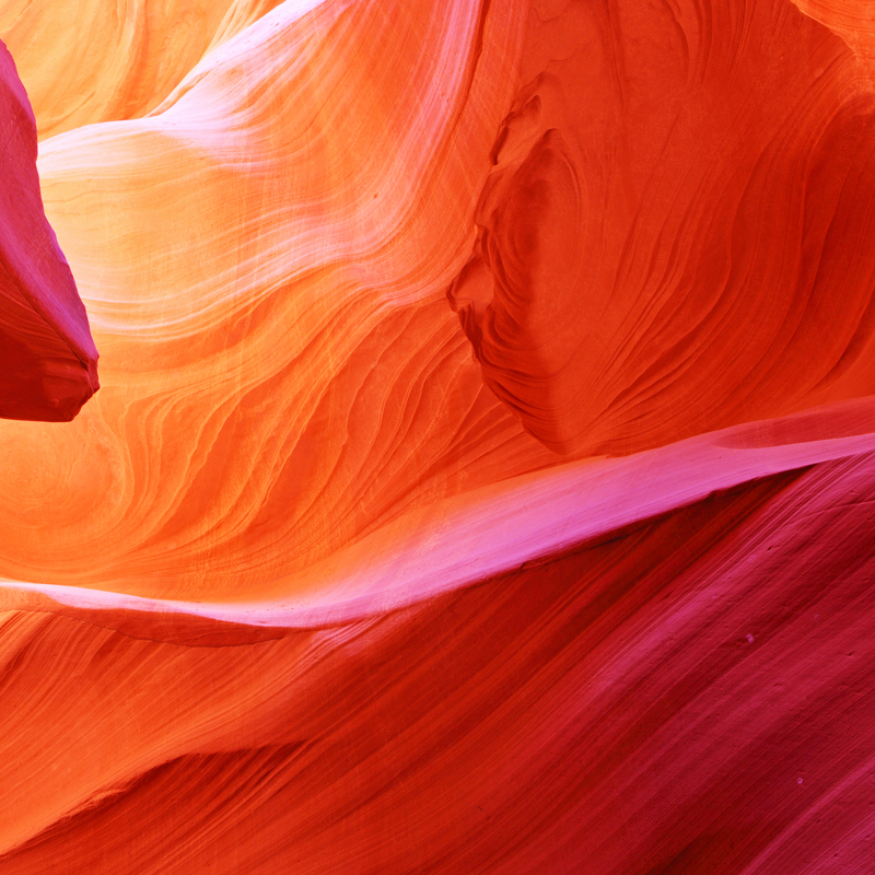 Abstract image of nature in red