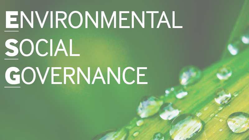 Environmental, social and governance overview for private equity firms
