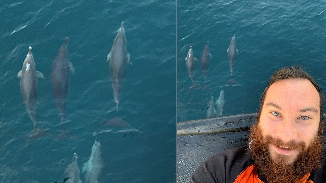 One of our Protected Species Observers makes some new friends offshore