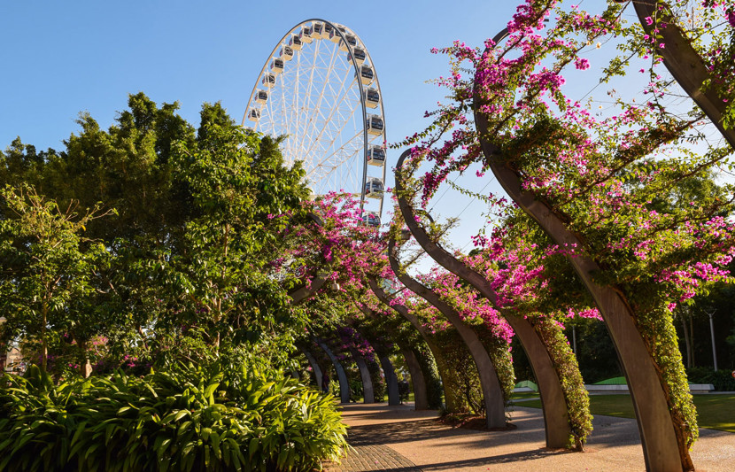 It's a view of a garden with pink flowers and in the distance you can see a Ferriswheel. 