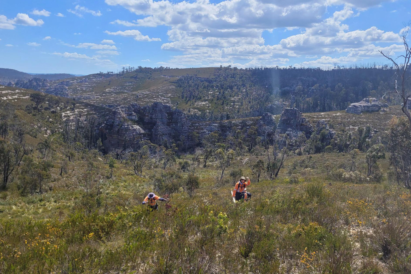 RPS ecologists in the field