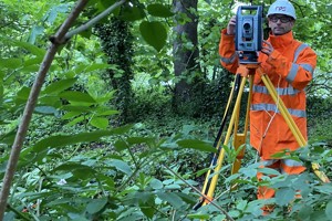 Surveying - Forest