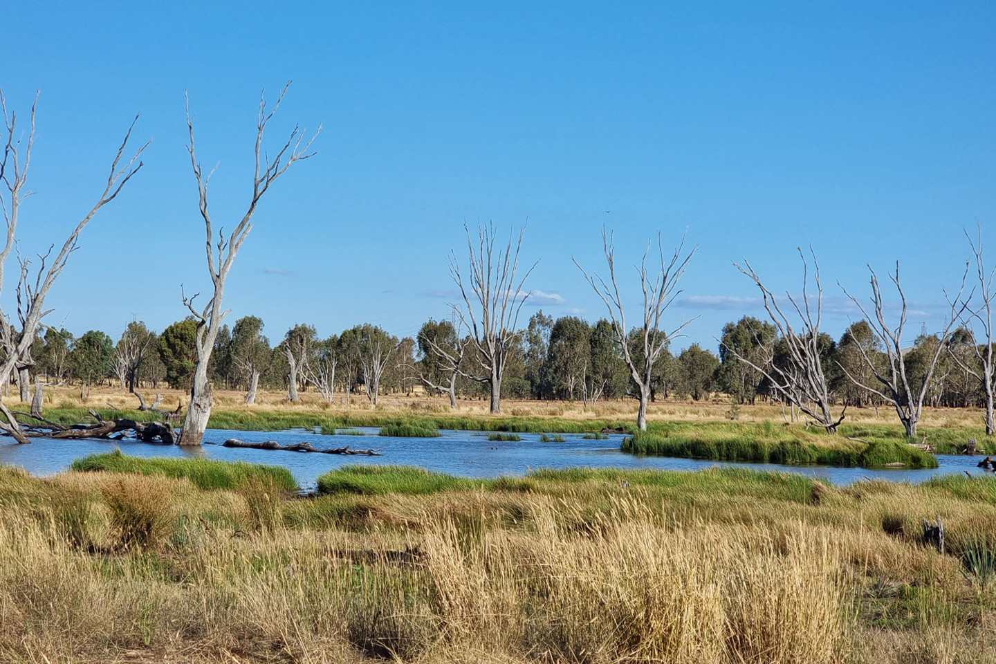 A water inlet