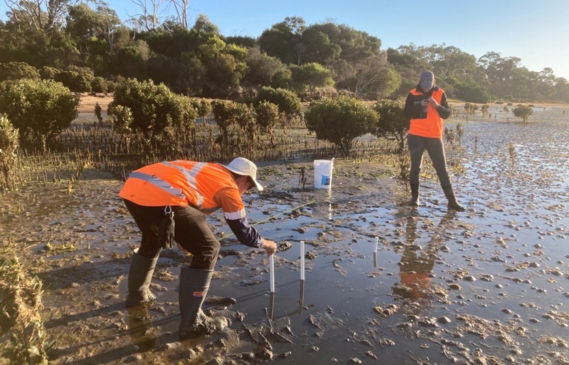 RPS' Marine Science team gathering environmental data at Port Hastings, Victoria. 
