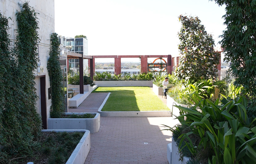 Iglu student accommodation green rooftop gardens with city skylines 