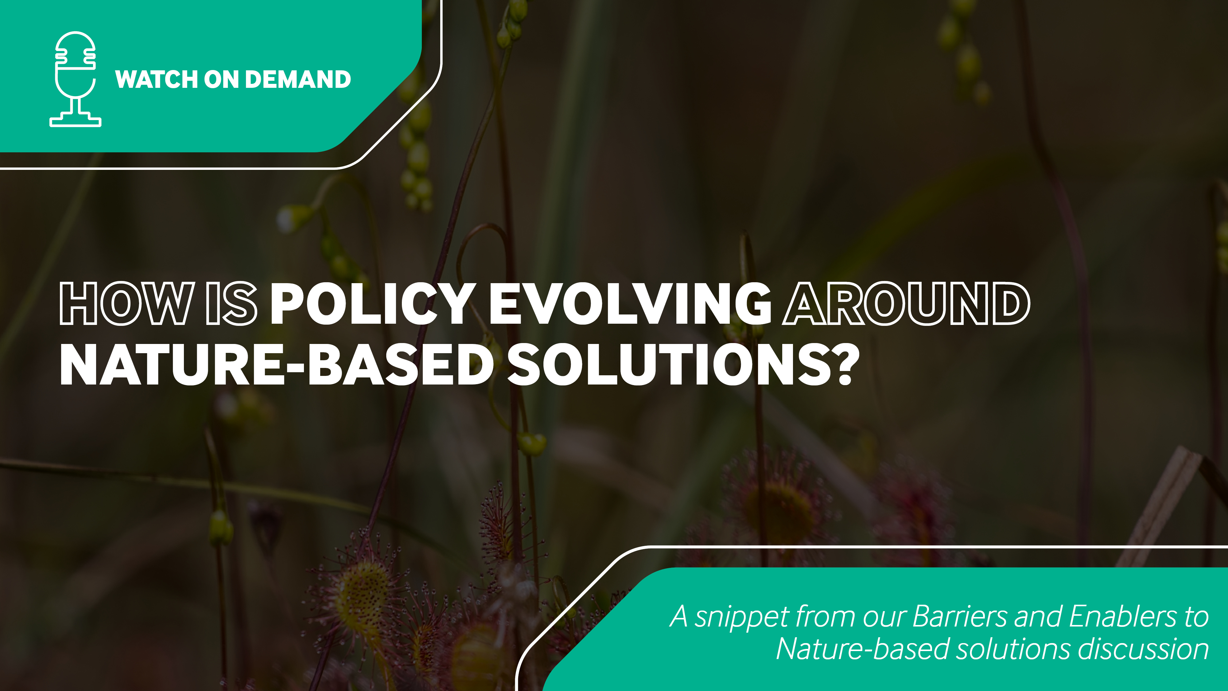 Barriers And Enablers To Nbs Video Frames