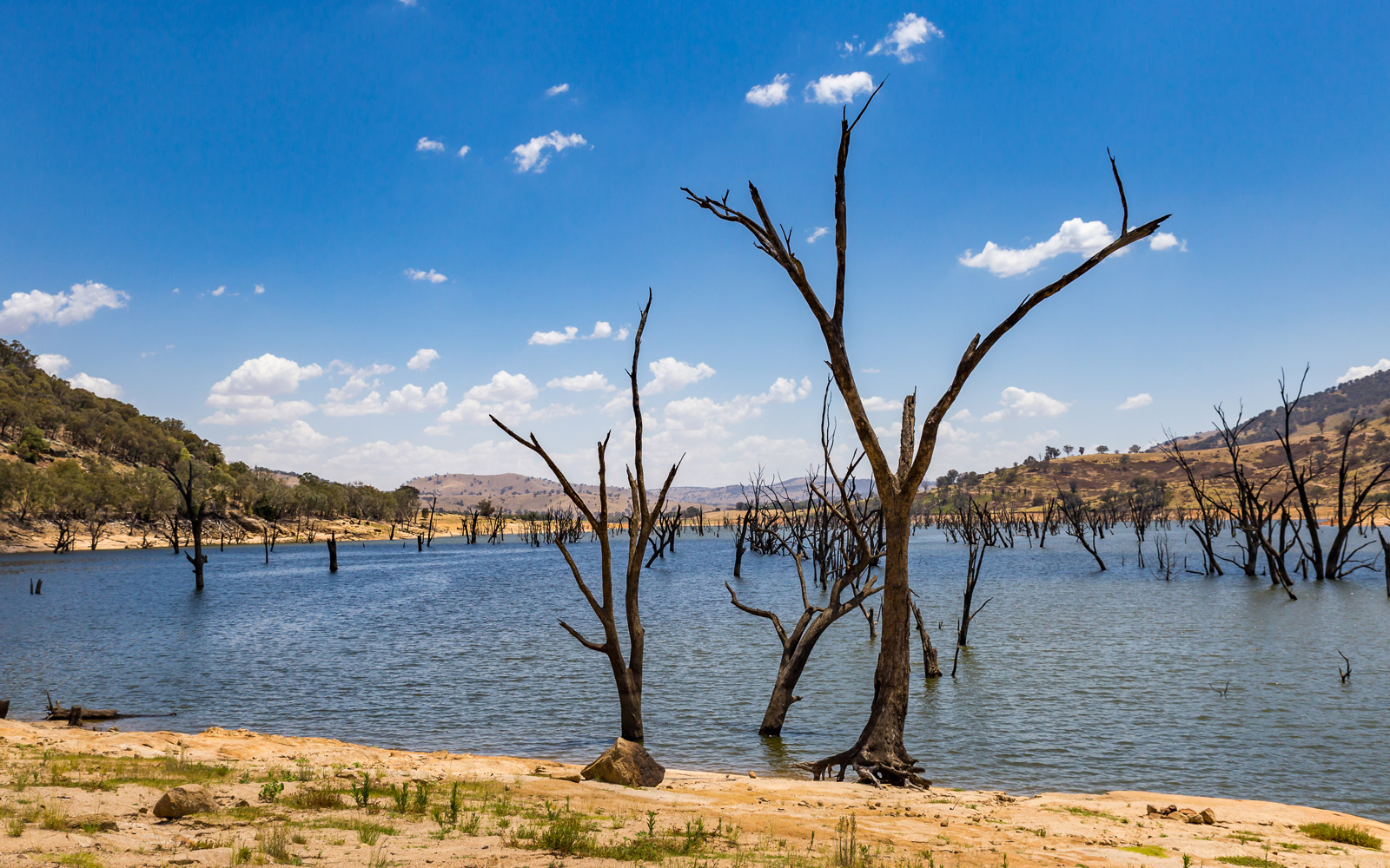 Body of water in the Australian bush 