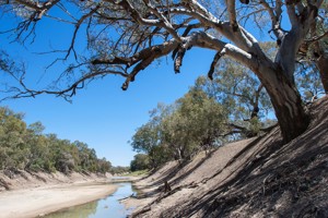 An Australian water catchment in the bush