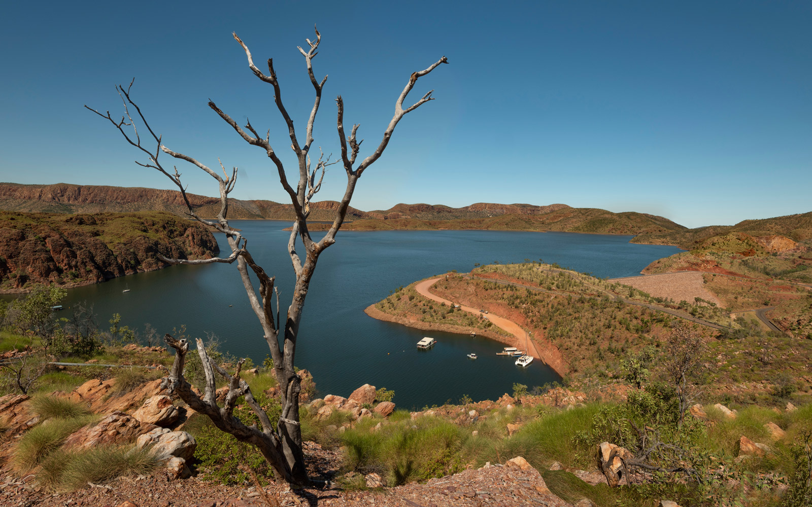 Hill top view of an Australian water reservoir with a tree at the forefront