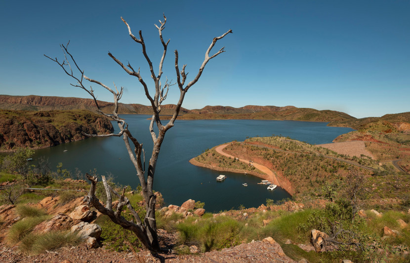 Hill top view of an Australian water reservoir with a tree at the forefront