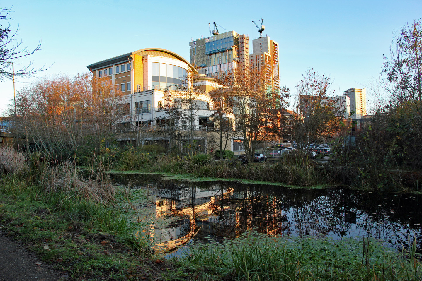 Adobestock 308137809 2 Woking