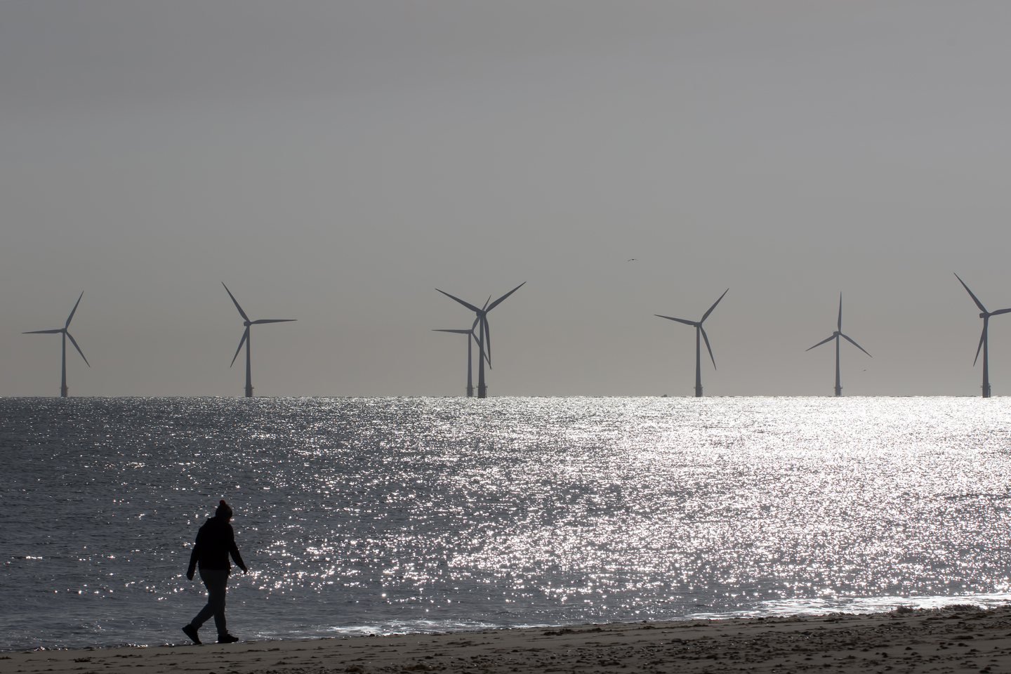 A lone person walks on the beach with offshore wind turbines in the distance. 