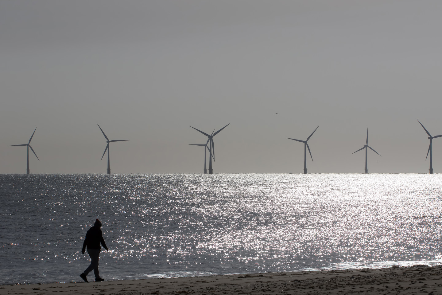 A lone person walks on the beach with offshore wind turbines in the distance. 