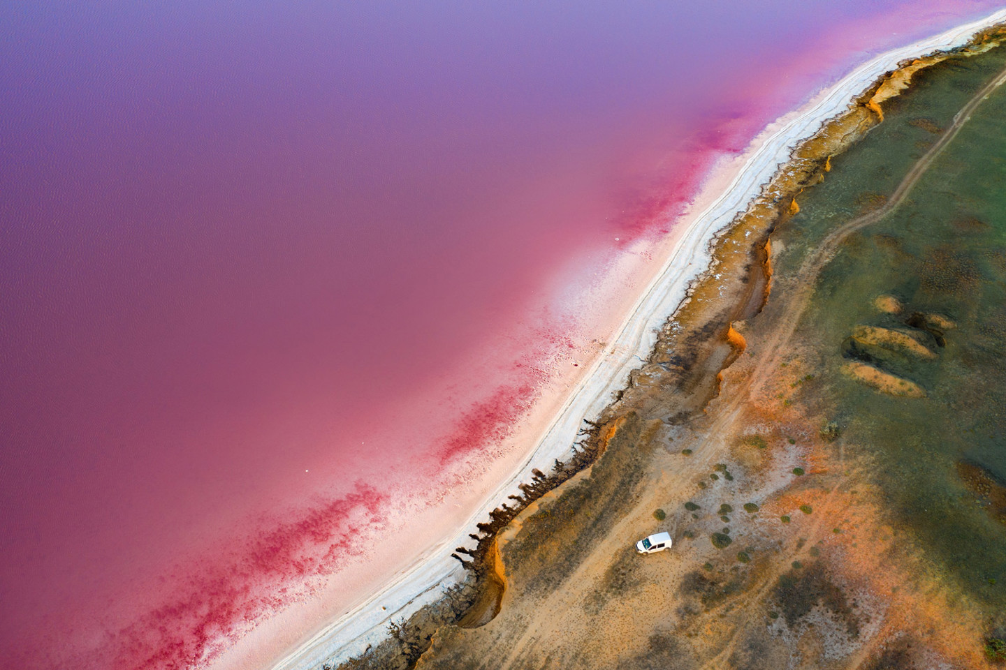 Pink ocean water