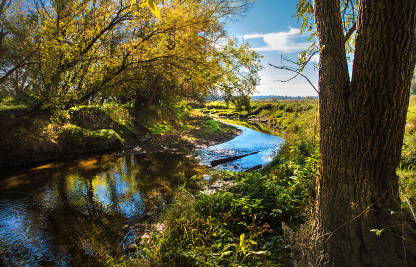 landscape with a stream and sunlight 