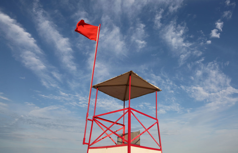 Red Flag Review