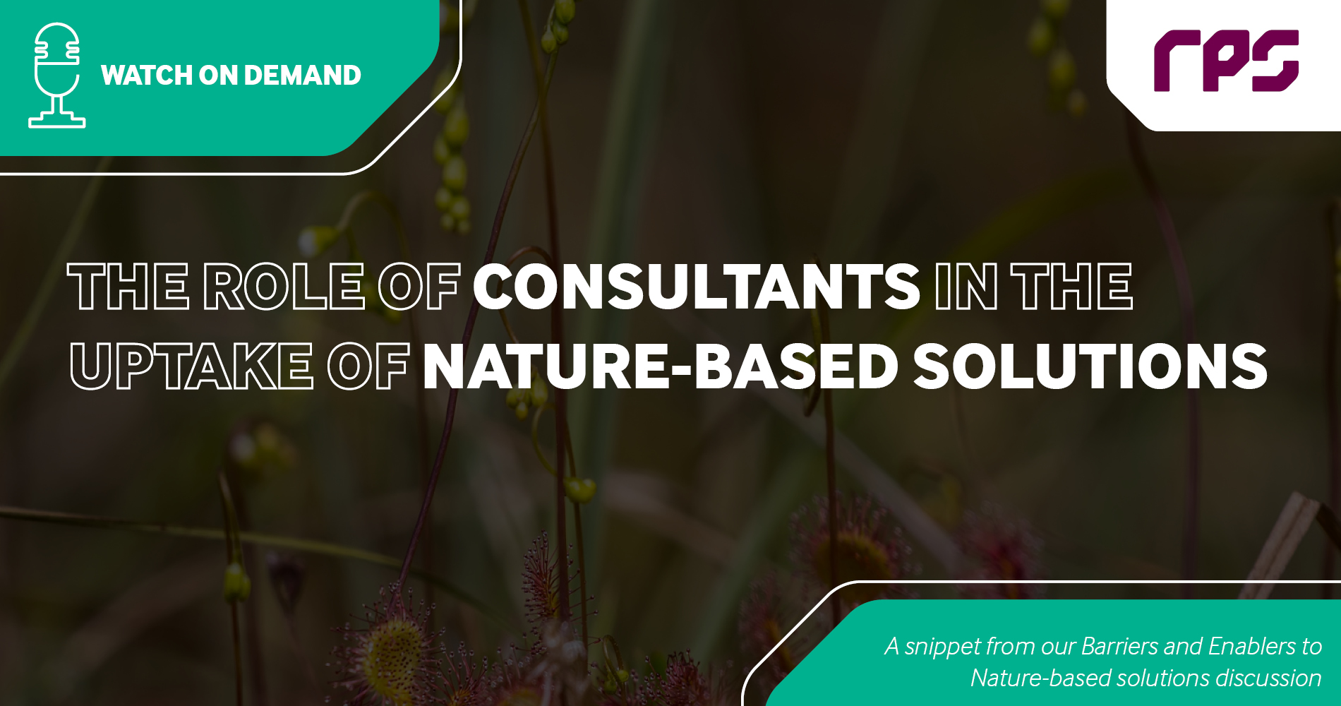 Nbs Role Of Consultants Linkedin