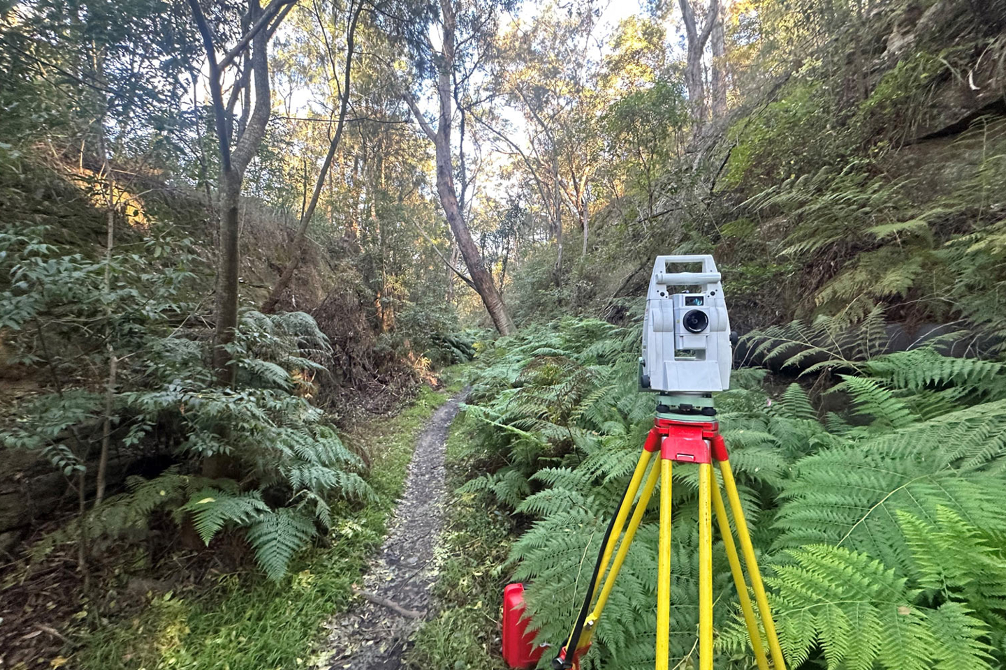 Surveying equipment is set up in the surrounding bushland of the Lapstone Hill Tunnel
