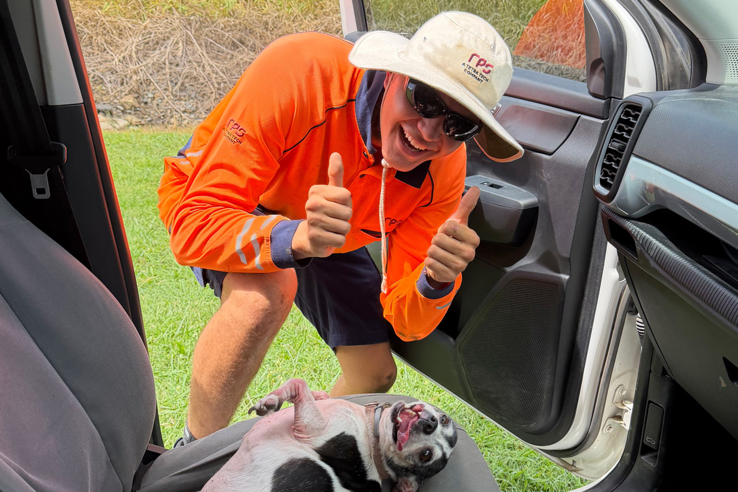 Survey Ute Dog