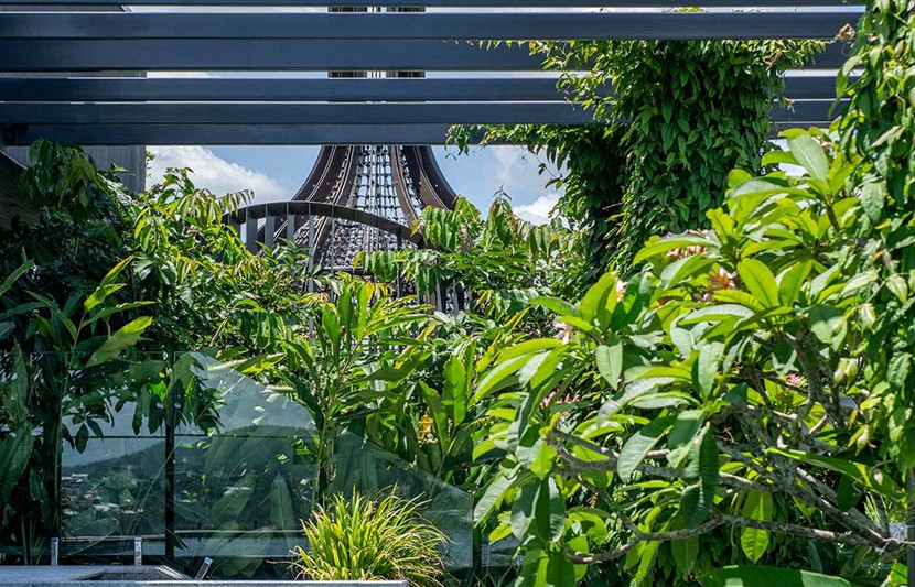 TreeHouse by Aria – incorporating greenery into apartment living in Brisbane, Queensland. Image credit: Cathy Schusler